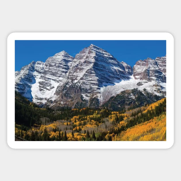 Trees With Mountain Range In The Background Maroon Bells Sticker by HammiltenJohn